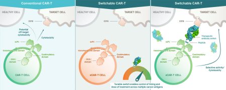 Switchable CAR-T (sCAR-T) Platform - Calibr-Skaggs At Scripps Research